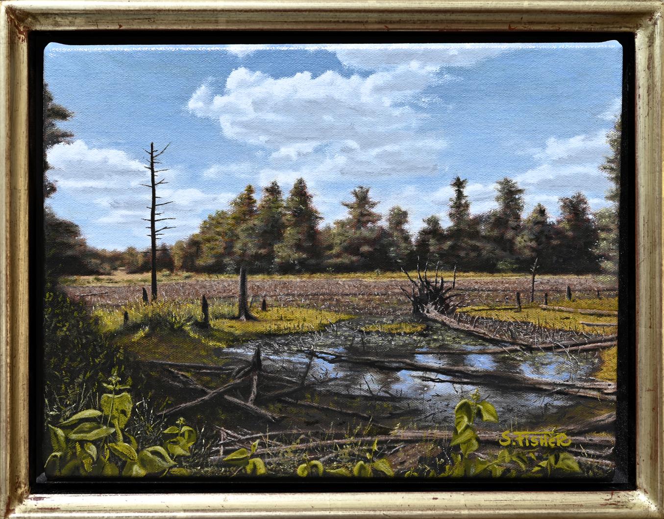 Nana's Pond, Summer — 2026