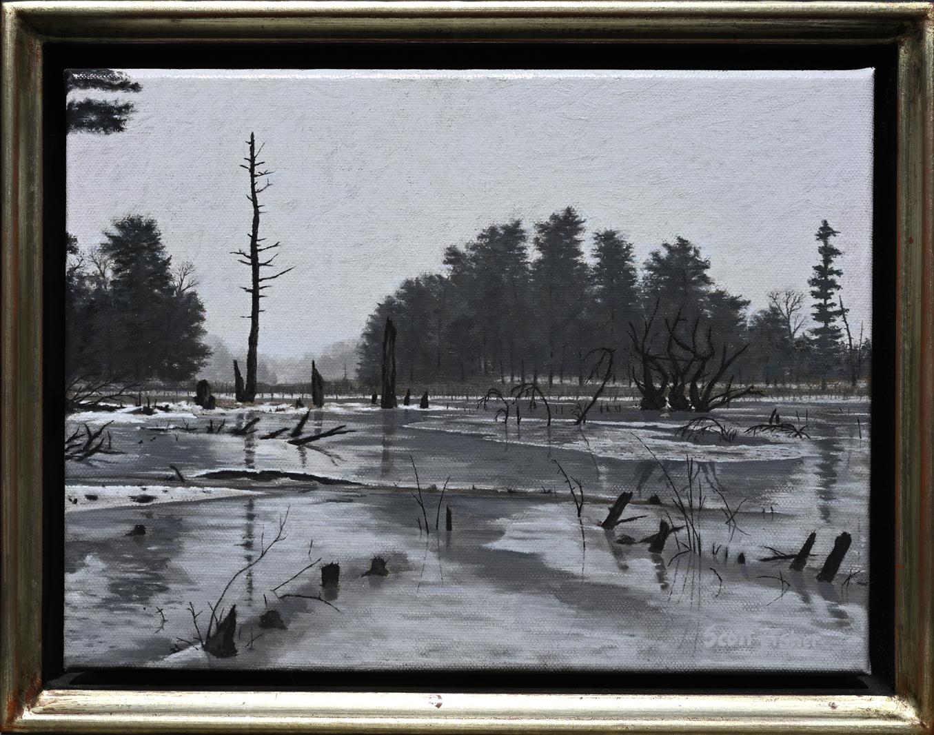 Nana's Pond, Winter — 2026