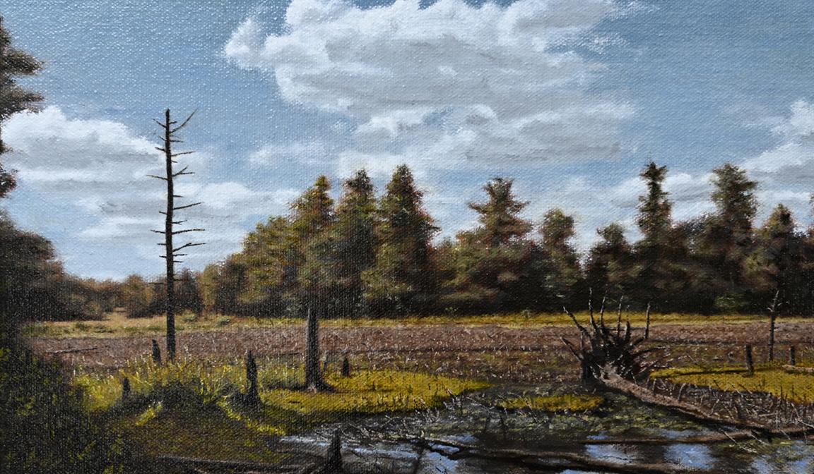 Nana's Pond, Summer — 2026