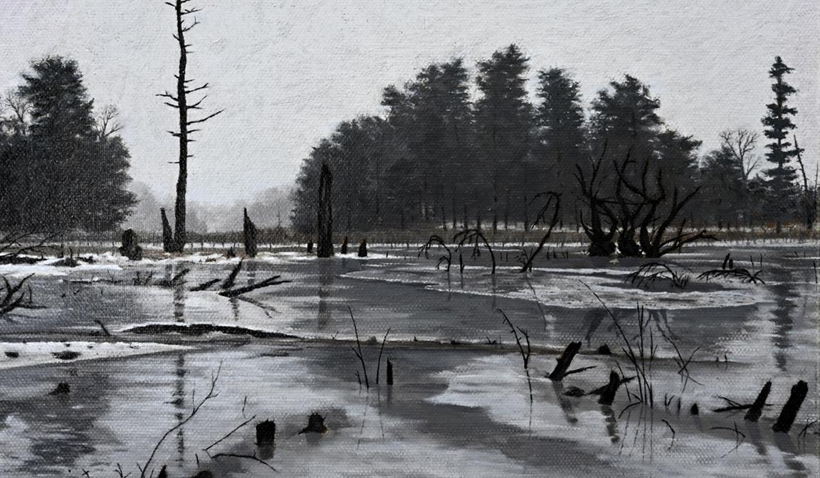 Nana's Pond, Winter — 2026